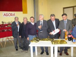 14 mostra di modellismo statico