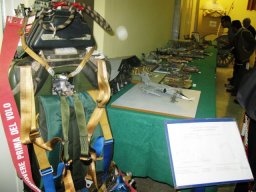 14 mostra di modellismo statico