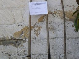 Attrezzi Agricoli