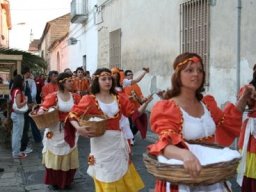 Cantica Popularia