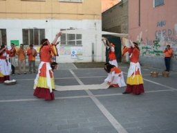 Cantica Popularia