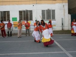 Cantica Popularia