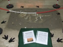 Mostra Art Attack e di Pittura