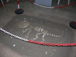 Mostra Art Attack e di Pittura