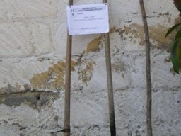 Antichi Mestieri