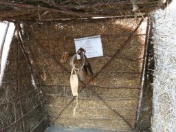 Pagliara dei pastori