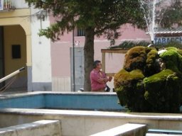 Visitatori