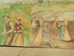 Cortili in musica &raquo; Canapa