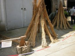 Canapa