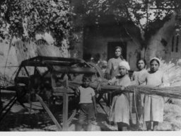 Canapa